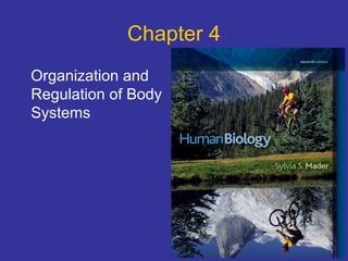Chapter 4
Organization and
Regulation of Body
Systems
 