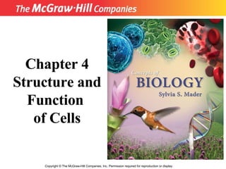 Copyright  ©  The McGraw-Hill Companies, Inc. Permission required for reproduction or display. Chapter 4 Structure and Function  of Cells 