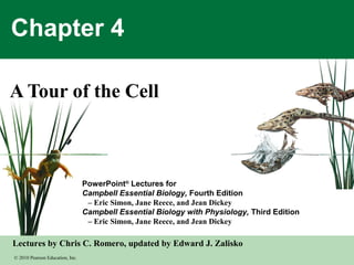 © 2010 Pearson Education, Inc.
Lectures by Chris C. Romero, updated by Edward J. Zalisko
PowerPoint®
Lectures for
Campbell Essential Biology, Fourth Edition
– Eric Simon, Jane Reece, and Jean Dickey
Campbell Essential Biology with Physiology, Third Edition
– Eric Simon, Jane Reece, and Jean Dickey
Chapter 4
A Tour of the Cell
 