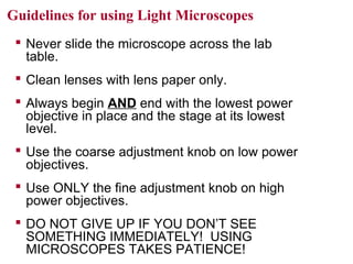 Guidelines for using Light Microscopes
 Never slide the microscope across the lab
table.
 Clean lenses with lens paper only.
 Always begin AND end with the lowest power
objective in place and the stage at its lowest
level.
 Use the coarse adjustment knob on low power
objectives.
 Use ONLY the fine adjustment knob on high
power objectives.
 DO NOT GIVE UP IF YOU DON’T SEE
SOMETHING IMMEDIATELY! USING
MICROSCOPES TAKES PATIENCE!
 