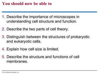 You should now be able to
1. Describe the importance of microscopes in
understanding cell structure and function.
2. Describe the two parts of cell theory.
3. Distinguish between the structures of prokaryotic
and eukaryotic cells.
4. Explain how cell size is limited.
5. Describe the structure and functions of cell
membranes.
© 2012 Pearson Education, Inc.
 