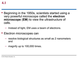 4.1
 Beginning in the 1950s, scientists started using a
very powerful microscope called the electron
microscope (EM) to view the ultrastructure of
cells.
– Instead of light, EM uses a beam of electrons.
 Electron microscopes can
– resolve biological structures as small as 2 nanometers
and
– magnify up to 100,000 times.
© 2012 Pearson Education, Inc.
 
