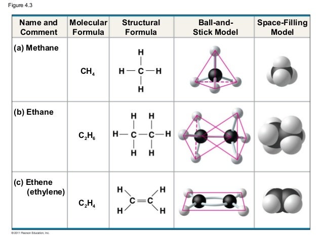 Ch 4: Carbon and Diversity
