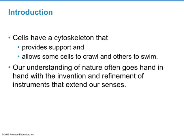 Ch. 4 Cell Structures | PPTX | Biological Sciences | Science