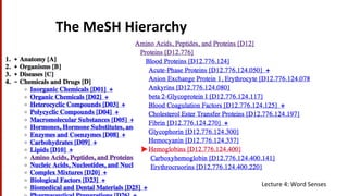 The	
  MeSH	
  Hierarchy	
  
•  a	
  
51	
   Lecture	
  4:	
  Word	
  Senses	
  
 