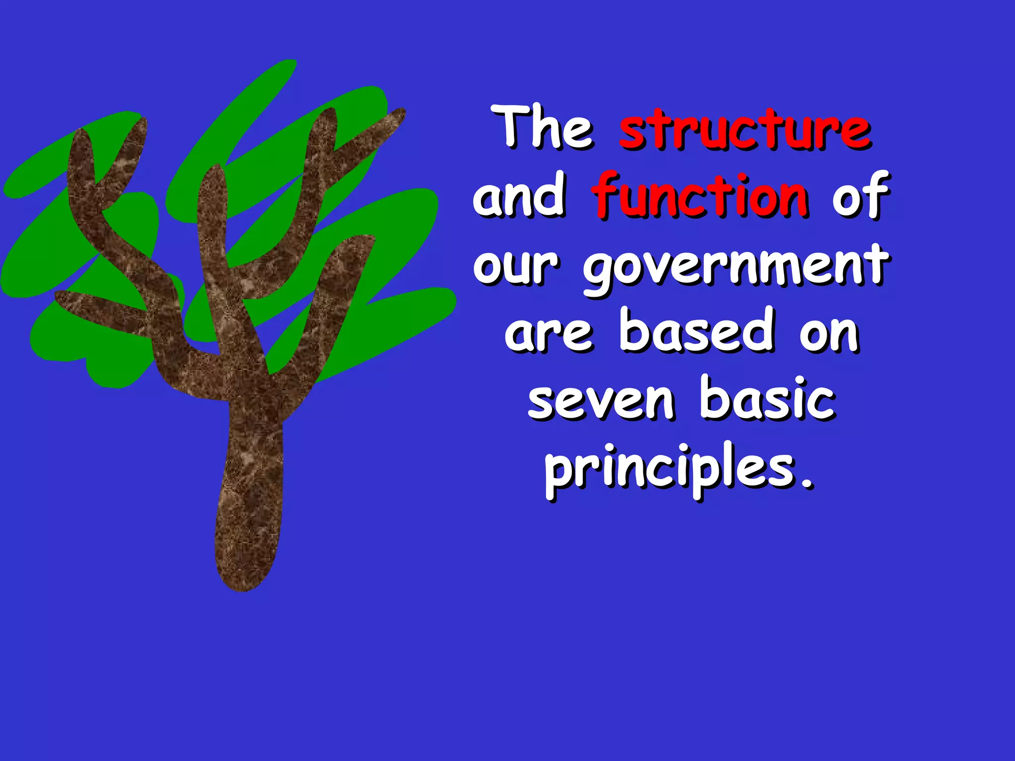 The  structure  and  function  of our government are based on seven basic principles. 