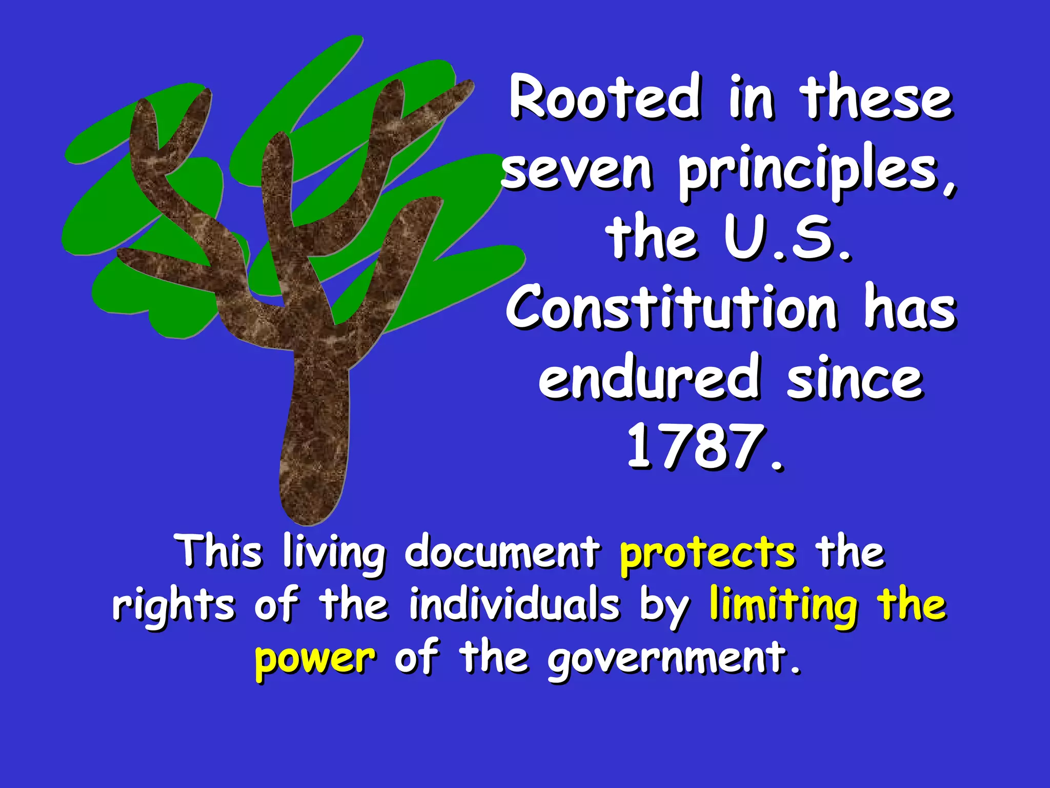 This living document  protects  the rights of the individuals by  limiting the power  of the government. Rooted in these seven principles, the U.S. Constitution has endured since 1787.   