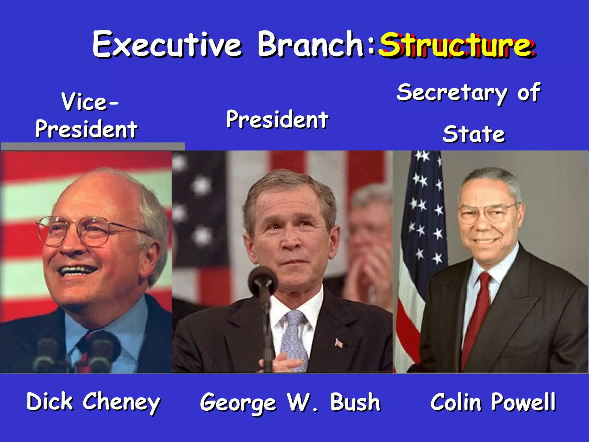 Structure Executive Branch: Structure Vice - President   Dick   Cheney George W. Bush   President Secretary   of  State Colin   Powell 