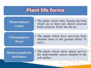 Life Form Types Plant life forms | PPT