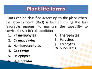 1. Phanerophytes
2. Chamaephytes
3. Hemicryptophytes
4. Geophytes
5. Helophytes
6. Hydrophytes
7. Therophytes
8. Parasites
9. Epiphytes
10. Succulents
Plants can be classified according to the place where
the growth point (Bud) is located during the less
favorable seasons, to maintain the capability to
survive these difficult conditions.
 