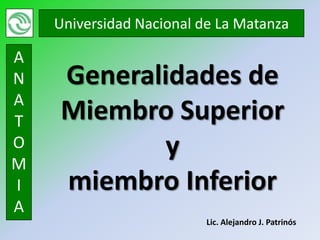 Universidad Nacional de La Matanza

A
N   Generalidades de
A
T   Miembro Superior
O
M
I
A
                          Lic. Alejandro J. Patrinós
 