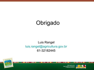 Obrigado 
Luis Rangel 
luis.rangel@agricultura.gov.br 
61-32182445 
