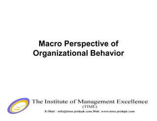 Macro Perspective of
Organizational Behavior
 