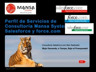 Perfil de Servicios de Consultoría Mansa Systems Salesforce y force.com August 1, 2011 297 