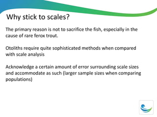 Why stick to scales?
The primary reason is not to sacrifice the fish, especially in the
cause of rare ferox trout.
Otoliths require quite sophisticated methods when compared
with scale analysis
Acknowledge a certain amount of error surrounding scale sizes
and accommodate as such (larger sample sizes when comparing
populations)
 