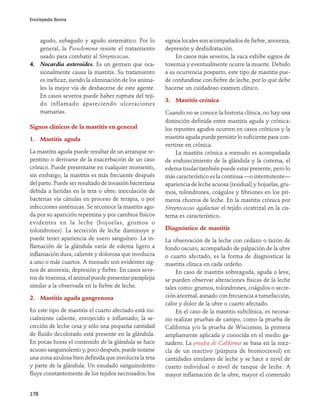 Enciclopedia Bovina




   agudo, subagudo y agudo sistemático. Por lo          signos locales son acompañados de fiebre, anorexia,
   general, la Pseudomona resiste el tratamiento        depresión y deshidratación.
   usado para combatir al Streptococcus.                    En casos más severos, la vaca exhibe signos de
4. Nocardia asteroides. Es un germen que oca-           toxemia y eventualmente ocurre la muerte. Debido
   sionalmente causa la mastitis. Su tratamiento        a su ocurrencia posparto, este tipo de mastitis pue-
   es ineficaz, siendo la eliminación de los anima-     de confundirse con fiebre de leche, por lo que debe
   les la mejor vía de deshacerse de este agente.       hacerse un cuidadoso examen clínico.
   En casos severos puede haber ruptura del teji-
                                                        3. Mastitis crónica
   do inflamado apareciendo ulceraciones
   mamarias.                                            Cuando no se conoce la historia clínica, no hay una
                                                        distinción definida entre mastitis aguda y crónica:
Signos clínicos de la mastitis en general               los repuntes agudos ocurren en casos crónicos y la
1. Mastitis aguda                                       mastitis aguda puede persistir lo suficiente para con-
                                                        vertirse en crónica.
La mastitis aguda puede resultar de un arranque re-          La mastitis crónica a menudo es acompañada
pentino o derivarse de la exacerbación de un caso       de endurecimiento de la glándula y la cisterna, el
crónico. Puede presentarse en cualquier momento,        edema tisular también puede estar presente, pero lo
sin embargo, la mastitis es más frecuente después       más característico es la continua —o intermitente—
del parto. Puede ser resultado de invasión bacteriana   apariencia de leche acuosa (residual) y hojuelas, gru-
debida a heridas en la teta o ubre; inoculación de      mos, tolondrones, coágulos y fibriones en los pri-
bacterias vía cánulas en proceso de terapia, o por      meros chorros de leche. En la mastitis crónica por
infecciones sistémicas. Se reconoce la mastitis agu-    Streptococcus agalactiae el tejido cicatrizal en la cis-
da por su aparición repentina y por cambios físicos     terna es característico.
evidentes en la leche (hojuelas, grumos o
tolondrones). La secreción de leche disminuye y         Diagnóstico de mastitis
puede tener apariencia de suero sanguíneo. La in-       La observación de la leche con cedazo o tazón de
flamación de la glándula varía de edema ligero a        fondo oscuro, acompañado de palpación de la ubre
inflamación dura, caliente y dolorosa que involucra     o cuarto afectado, es la forma de diagnosticar la
a uno o más cuartos. A menudo son evidentes sig-        mastitis clínica en cada ordeño.
nos de anorexia, depresión y fiebre. En casos seve-          En caso de mastitis sobreaguda, aguda o leve,
ros de toxemia, el animal puede presentar paraplejia    se pueden observar alteraciones físicas de la leche
similar a la observada en la fiebre de leche.           tales como: grumos, tolondrones, coágulos o secre-
2. Mastitis aguda gangrenosa                            ción anormal, aunado con frecuencia a tumefacción,
                                                        calor y dolor de la ubre o cuarto afectado.
En este tipo de mastitis el cuarto afectado está ini-        En el caso de la mastitis subclínica, es necesa-
cialmente caliente, enrojecido e inflamado; la se-      rio realizar pruebas de campo, como la prueba de
creción de leche cesa y sólo una pequeña cantidad       California y/o la prueba de Wisconsin; la primera
de fluido decolorado está presente en la glándula.      ampliamente aplicada y conocida en el medio ga-
En pocas horas el contenido de la glándula se hace      nadero. La prueba de California se basa en la mez-
acuoso sanguinolento y, poco después, puede notarse     cla de un reactivo (púrpura de bromocresol) en
una zona azulosa bien definida que involucra la teta    cantidades similares de leche y se hace a nivel de
y parte de la glándula. Un exudado sanguinolento        cuarto individual o nivel de tanque de leche. A
fluye constantemente de los tejidos necrosados; los     mayor inflamación de la ubre, mayor el contenido


178
 