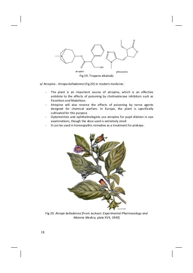 Pilocarpine Natural Remedies Pilocarpine Natural Remedies