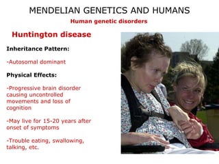 04 mendelian genetics and humans | PPT