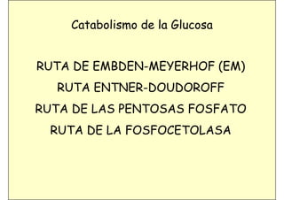04 metabolismo mg 08 09 | PDF