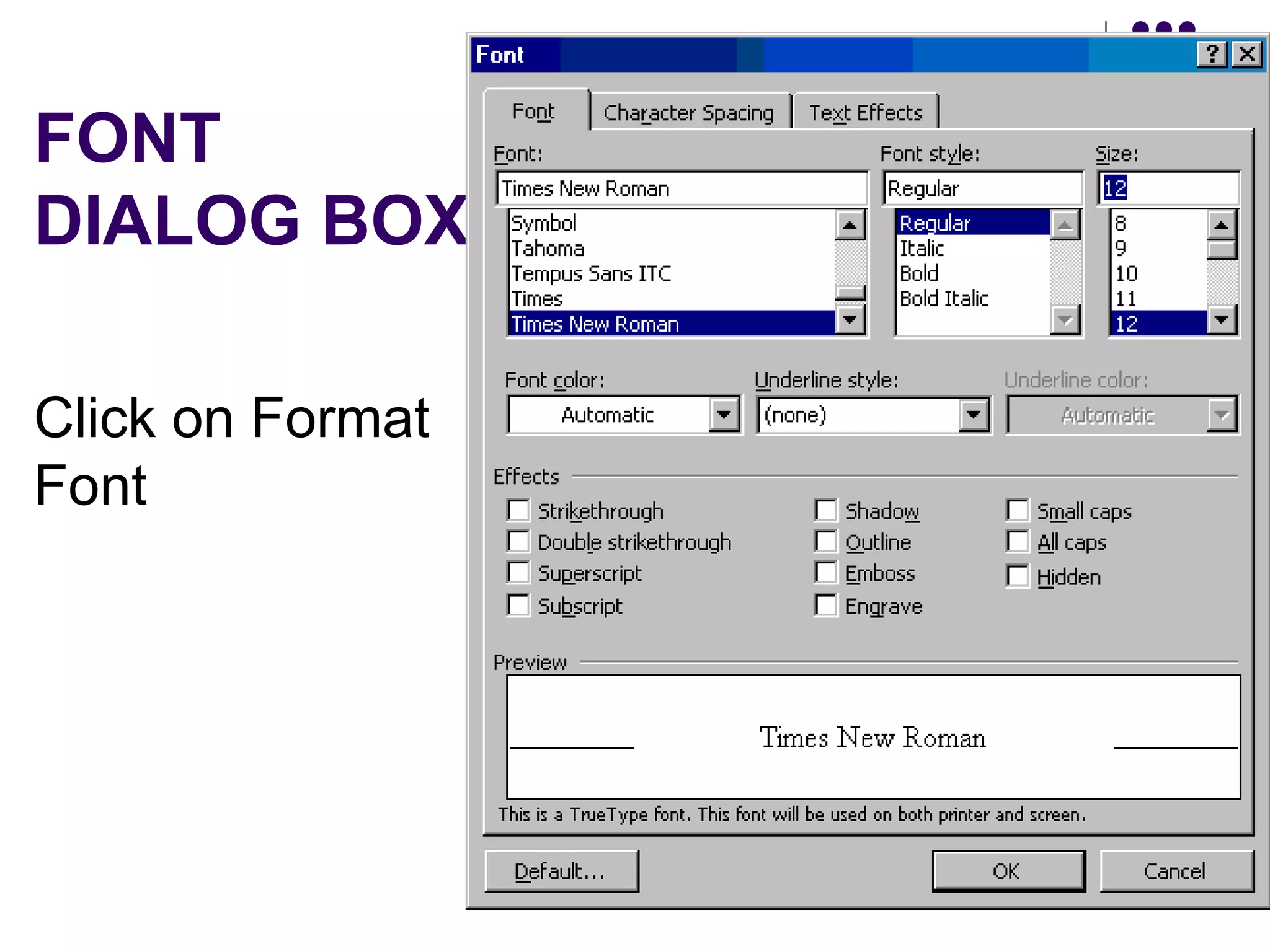 FONT  DIALOG BOX Click on Format Font 