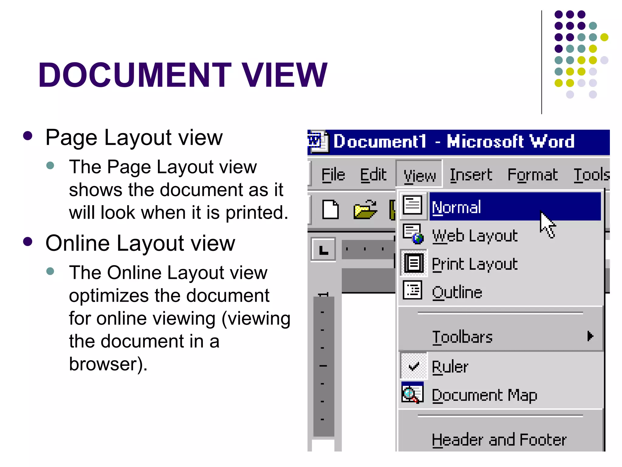 DOCUMENT VIEW Page Layout view  The Page Layout view shows the document as it will look when it is printed. Online Layout view  The Online Layout view optimizes the document for online viewing (viewing the document in a browser).  