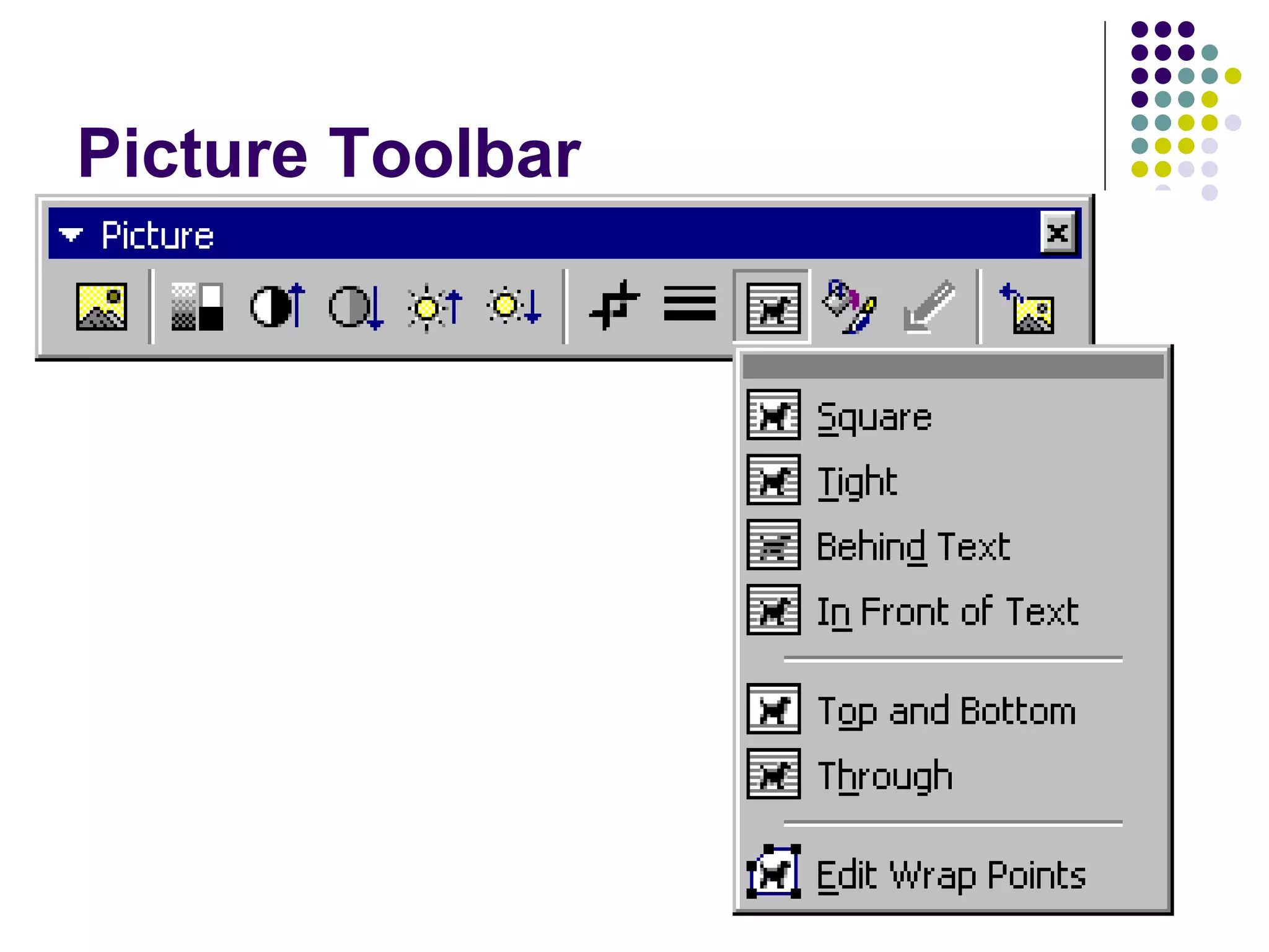Picture Toolbar 