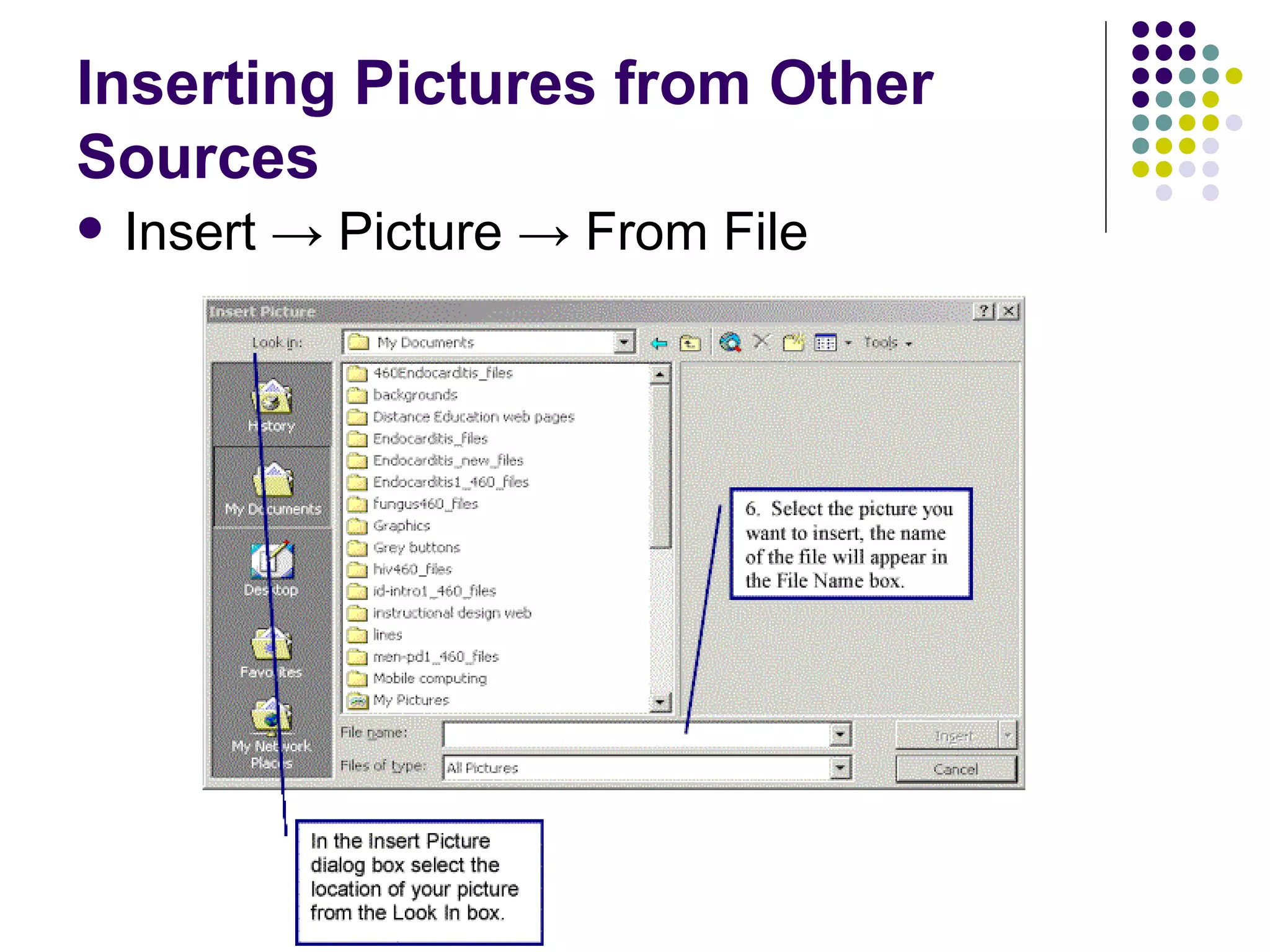 Inserting Pictures from Other Sources Insert  -> Picture -> From File 