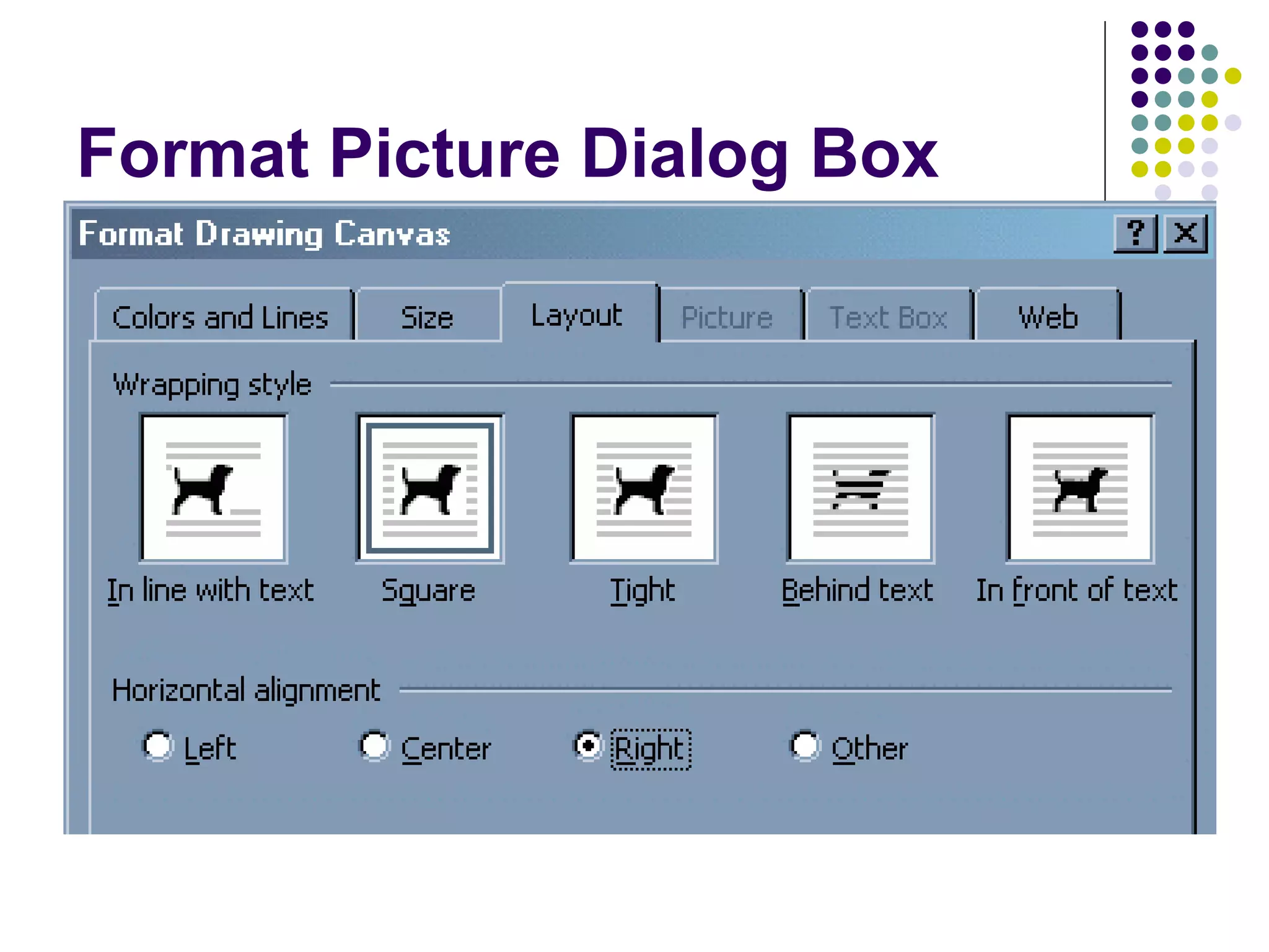 Format Picture Dialog Box 