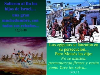 Salieron al fin los
 hijos de Israel,...
     una gran
muchedumbre, con
todos sus rebaños...
      12,37-38



                       Los egipcios se lanzaron en
                            su persecución...
                          Pero Moisés les dijo:
                             No se asusten,
                       permanezcan firmes y verán
                       cómo Yavé les salva...
                                  14,9.13
 