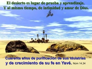 El desierto es lugar de prueba y aprendizaje.
Y al mismo tiempo, de intimidad y amor de Dios.




 Cuarenta años de purificación de sus idolatrías
 y de crecimiento de su fe en Yavé. Núm 14,34
 