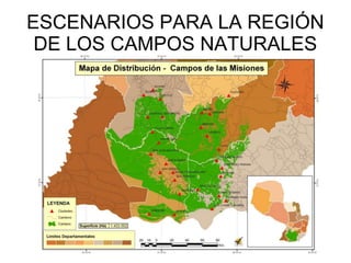 ESCENARIOS PARA LA REGIÓN
DE LOS CAMPOS NATURALES
 