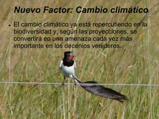 Nuevo Factor: Cambio climático
 El cambio climático ya está repercutiendo en la
biodiversidad y, según las proyecciones, se
convertirá en una amenaza cada vez más
importante en los decenios venideros.
 