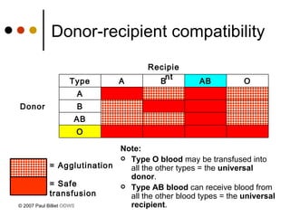 Donor-recipient compatibility Note: Type O blood  may be transfused into all the other types = the  universal donor . Type AB blood  can receive blood from all the other blood types = the  universal recipient . © 2007 Paul Billiet  ODWS O AB B Donor A O AB B A Type Recipient = Safe transfusion = Agglutination 