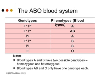 The ABO blood system Note:  Blood types A and B have two possible genotypes – homozygous and heterozygous. Blood types AB and O only have one genotype each.   © 2007 Paul Billiet  ODWS O ii B I B i B I B  I B A I A i AB I A  I B A I A  I A Phenotypes (Blood types) Genotypes 
