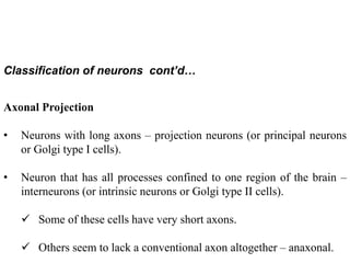04 nerve physiology.ppt