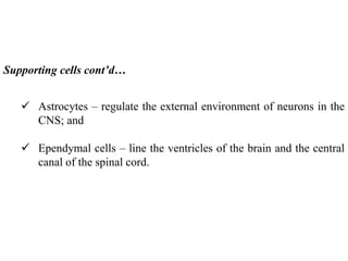 04 nerve physiology.ppt