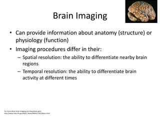 Brain Imaging
      • Can provide information about anatomy (structure) or
        physiology (function)
      • Imaging procedures differ in their:
                – Spatial resolution: the ability to differentiate nearby brain
                  regions
                – Temporal resolution: the ability to differentiate brain
                  activity at different times




For more about brain imaging and drug abuse goto:
http://www.nida.nih.gov/NIDA_Notes/NNVol11N5/Basics.html
 