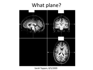 What plane?




 Sarah Tappon, 8/5/2009
 