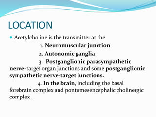 LOCATION
 Acetylcholine is the transmitter at the
1. Neuromuscular junction
2. Autonomic ganglia
3. Postganglionic parasympathetic
nerve-target organ junctions and some postganglionic
sympathetic nerve-target junctions.
4. In the brain, including the basal
forebrain complex and pontomesencephalic cholinergic
complex .
 