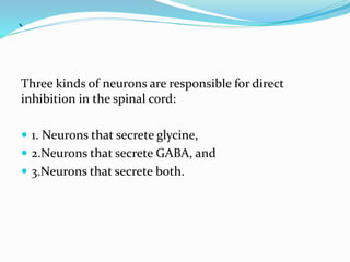 `
Three kinds of neurons are responsible for direct
inhibition in the spinal cord:
 1. Neurons that secrete glycine,
 2.Neurons that secrete GABA, and
 3.Neurons that secrete both.
 