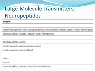 Large-Molecule Transmitters:
Neuropeptides
 