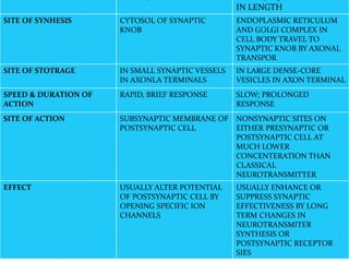COMPARISON OF CLASSICAL NEUROTRANSMITTER AND
NEUROPEPTIDE
IN LENGTH
SITE OF SYNHESIS CYTOSOL OF SYNAPTIC
KNOB
ENDOPLASMIC RETICULUM
AND GOLGI COMPLEX IN
CELL BODY TRAVEL TO
SYNAPTIC KNOB BY AXONAL
TRANSPOR
SITE OF STOTRAGE IN SMALL SYNAPTIC VESSELS
IN AXONLA TERMINALS
IN LARGE DENSE-CORE
VESICLES IN AXON TERMINAL
SPEED & DURATION OF
ACTION
RAPID, BRIEF RESPONSE SLOW; PROLONGED
RESPONSE
SITE OF ACTION SUBSYNAPTIC MEMBRANE OF
POSTSYNAPTIC CELL
NONSYNAPTIC SITES ON
EITHER PRESYNAPTIC OR
POSTSYNAPTIC CELL AT
MUCH LOWER
CONCENTERATION THAN
CLASSICAL
NEUROTRANSMITTER
EFFECT USUALLY ALTER POTENTIAL
OF POSTSYNAPTIC CELL BY
OPENING SPECIFIC ION
CHANNELS
USUALLY ENHANCE OR
SUPPRESS SYNAPTIC
EFFECTIVENESS BY LONG
TERM CHANGES IN
NEUROTRANSMITER
SYNTHESIS OR
POSTSYNAPTIC RECEPTOR
SIES
 