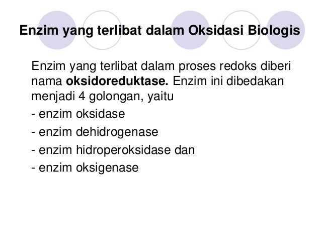 Oksidasi Biologi Dan Bioenergetika