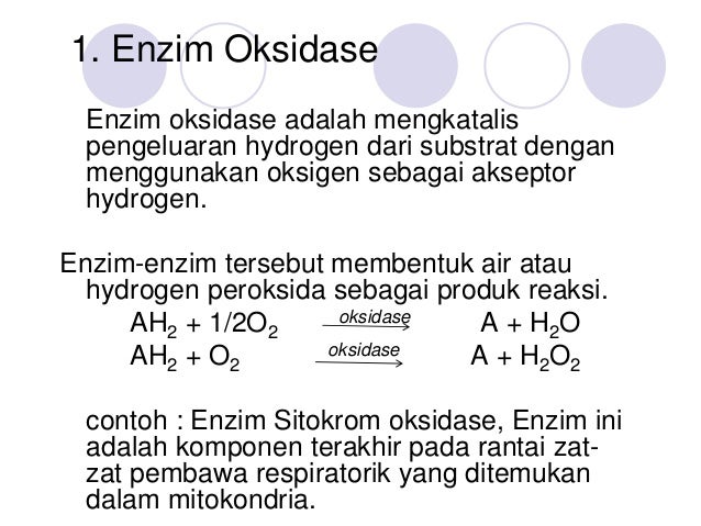 Oksidasi biologi dan bioenergetika