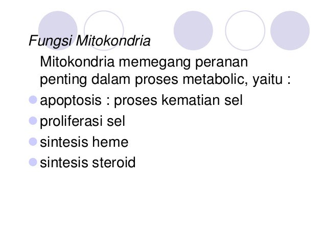 Oksidasi Biologi Dan Bioenergetika