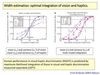 Width estimation: optimal integration of vision and haptics.
Ernst & Banks (2002) Nature
mean (xV) and variance (σV
2) of vision
mean (xH) and variance (σH
2) of haptics
mean (x) and variance (σV) of
multi-modal integration
Human performance in visual-haptic discrimination (RIGHT) is predicted by
maximum-likelihood integration of those in visual and haptic discrimination
measured separately (LEFT).
 