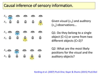 Causal inference of sensory information.
Kording et al. (2007) PLoS One; Kayer & Shams (2015) PLoS Biol
Given visual (xV) and auditory
(xA) observations…
Q1: Do they belong to a single
object (C=1) or come from two
different objects (C=2)?
Q2: What are the most likely
positions for the visual and the
auditory objects?
Ax
Vx
Ax
Vx
Ax
Vx
 