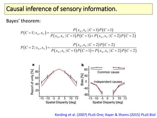 Causal inference of sensory information.
Kording et al. (2007) PLoS One; Kayer & Shams (2015) PLoS Biol
 
   
       
A V
A V
A V A V
,
,
, ,
| 1 1
1|
| 1 1 | 2 2
x
x
x
P x C P C
P C x
P x C P C P x C P Cx
 
 
    
 
   
       
A V
A V
A V A V
,
,
, ,
| 2 2
2 |
| 1 1 | 2 2
x
x
x
P x C P C
P C x
P x C P C P x C P Cx
 
 
    
Bayes’ theorem:
 