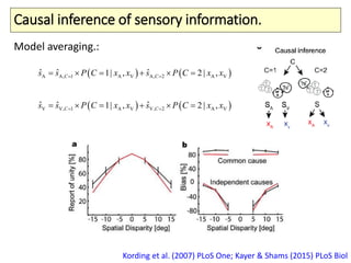 Causal inference of sensory information.
Kording et al. (2007) PLoS One; Kayer & Shams (2015) PLoS Biol
   A A, 1 A V A, 2 A V
ˆ ˆ ˆ1| , 2 | ,C Cs s P C x x s P C x x      
   V, 1 A V V, 2V A V
ˆ ˆ ˆ1| , 2 | ,C Cs s P C x x s P C x x      
Model averaging.:
 