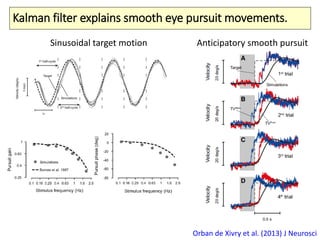 Kalman filter explains smooth eye pursuit movements.
Sinusoidal target motion Anticipatory smooth pursuit
Orban de Xivry et al. (2013) J Neurosci
 
